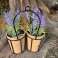 Kunstig plante 2x Lavendel i anheng 22 cm bilde 2