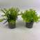 Plante artificielle en pot en plastique vert 22 cm 2 assortis photo 1