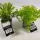 Artificial plant in plastic pot green 22 cm 2 assorted image 2