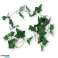 Sztuczna roślina Bluszcz girlanda 180 cm 2 różne zdjęcie 1