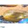 SENZA Flotador confeti oro 120 cm fotografía 2