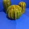 Escultura Bola de cactus verde 15cm / 16cm / 22cm fotografía 4