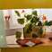 Propagateur Tchibo Capucine 19,5 cm photo 5