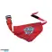 Bandana for dogs Paw Patrol 24 cm 3 assorted image 1
