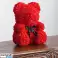 Pristatome: Rožinis meškiukas LoveBear nuotrauka 2