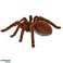 Robot télécommandé Spider TARANTULA TÉLÉCOMMANDE photo 5