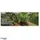 Tapener Nursery Stapler for Raspberry Vines Tape image 4