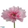 Umetni cvet Gerbera 50 cm 4 izbrane fotografija 3