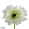 Umetni cvet Gerbera 50 cm 4 izbrane fotografija 2