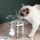 Meilleurs choix pour animaux de compagnie : Potentiel de profit incroyable : Fontaine à boire pour animaux de compagnie Flowy photo 1