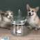 Meilleurs choix pour animaux de compagnie : Potentiel de profit incroyable : Fontaine à boire pour animaux de compagnie Flowy photo 2