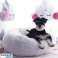 Pet Lover's Choice: Fantastisk profitpotentiale: Bærbar kæledyrsseng Puffy billede 4