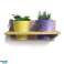 &#039;Roots&#039; Wooden hanging Joy 35cm pot racks sets with 2 Artstone pots image 5