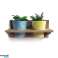 &#039;Roots&#039; Wooden hanging Warm 35cm pot racks sets with 2 Artstone pots image 4