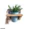 'Roots' Ξύλινες κρεμαστές σχάρας Joy 14cm με 1 γλάστρα Artstone εικόνα 3