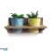 &#039;Roots&#039; Wooden hanging Warm 35cm pot racks sets with 2 Artstone pots image 4