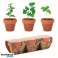 FLOWERPOT Herbs Terracotta Set Wood Natural &amp; Stylish image 1