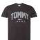 T-shirty męskie Tommy Hilfiger zdjęcie 1