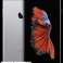 iPhone 6s Plus 16GB / Gold / Pink / Silber / Space Grau Bild 1