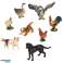 Figurines animals zoo playset 28 pcs. image 3