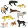 Figurines animals zoo play set 31 pcs. image 2