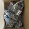 Lot de 40 pièces U.S. POLO SHOES - Original, différentes tailles et 2 couleurs photo 4