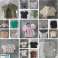 Full Truck - naisten topit, puserot, paidat, T-paidat kuva 2