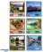 Puzzle Mate Puzzle Villes et Paysages 1000 pièces 12 assortis photo 2