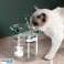 Must Have Pet Supplies: Amazing profit potential: Pet drinking fountain Flowy image 1