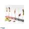 Mebel Entity 20 amuse-gueules mélanine rouge/blanc 32 cm 7 pièces couleurs variées dans l’emballage de vente collor complet photo 1