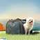 Rockbros Fahrradtasche 30140028001 Transporttasche für Katzen und Hunde Bild 6