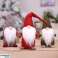 BQ67 SANTA CLAUS GNOME DWARF 44x13 image 13