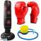 FT44 CONJUNTO DE BOXE foto 1