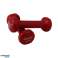 Vinyl dumbbells MASTER 2 x 0.5 kg image 1