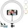 10 ιντσών LED Selfie Ring Light με 3 Color Modes Φωτισμός για κινητά τηλέφωνα &amp;; κάμερα, YouTube |Φωτογράφιση|Βιντεοσκόπηση|Ζωντανά εικόνα 1