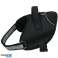Traitement pour animaux de compagnie ED 89963 : Harnais pour chien L 70 86cm photo 4