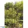 Kinzo Garden rožių kolona - Žalia 185x40cm nuotrauka 4