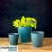 Саксии за цветя Blue Artstone Josh Saphire 7x7см картина 3