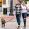DOG LEASH 3m REFLECTIVE LONG VERY STRONG TRAINING THICK DURABLE image 4