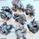 Genuine Delphi Common Rail Injection Pumps image 4
