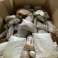DHL - Hermes - Amazon - Verlorene Pakete - Retour - Mystery Paletten - Mystery Boxen Bild 2