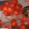 LED-Leuchten am Band mit Rosen (2 m) LUMEROSE Bild 1