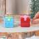 Mängutuule kingitus Wichtel Wonderland 3,6 cm 2 assortii müügitahvlil foto 3