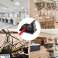 Clip autoadesive x50 Desktop Cable Organizer Organizzatori di cavi foto 1