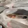 bazar misto, bazar di stock rotante, decorazioni per la casa, fai da te, giocattolo, articolo da cucina, ecc foto 5