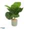 Konstgjord växt i cementkruka 40 cm 3 blandade Monstera Deliciosa - Schweizisk ostväxt / Strelitzia / Dieffenbachia bild 4