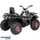 Quad elettrico per bambini &quot;Traper Military&quot; di ENERO - nuovo prodotto dall'importatore foto 1
