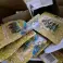 6 Paletten Weihnachtsbeleuchtung für den Innenbereich 100 Stück kombinierbar, verschiedene Farben Bild 2