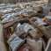 TEXTILE MIX PALLET | Carpets, curtains, blankets and much more. image 3