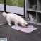 Genius Ideas Cat Paw Food Bowl -matto kuva 1